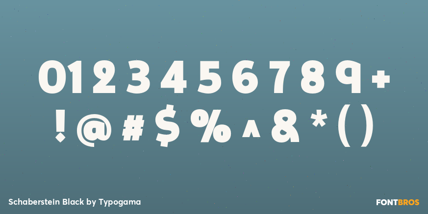 Schaberstein Black Font Poster #4