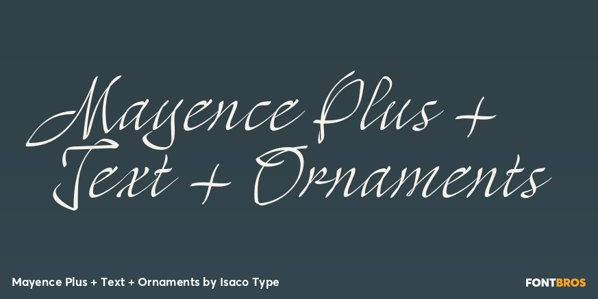 Mayence Plus + Text + Ornaments Poster