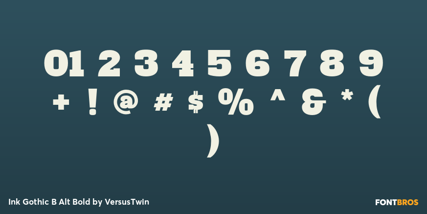 Ink Gothic B Alt Bold Font Poster #1