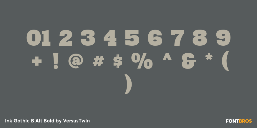 Ink Gothic B Alt Bold Font Poster #4