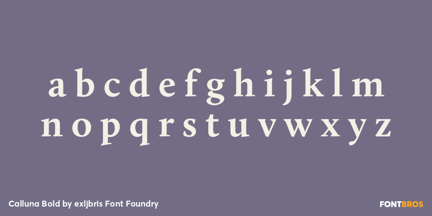 Calluna Bold Font Poster #3