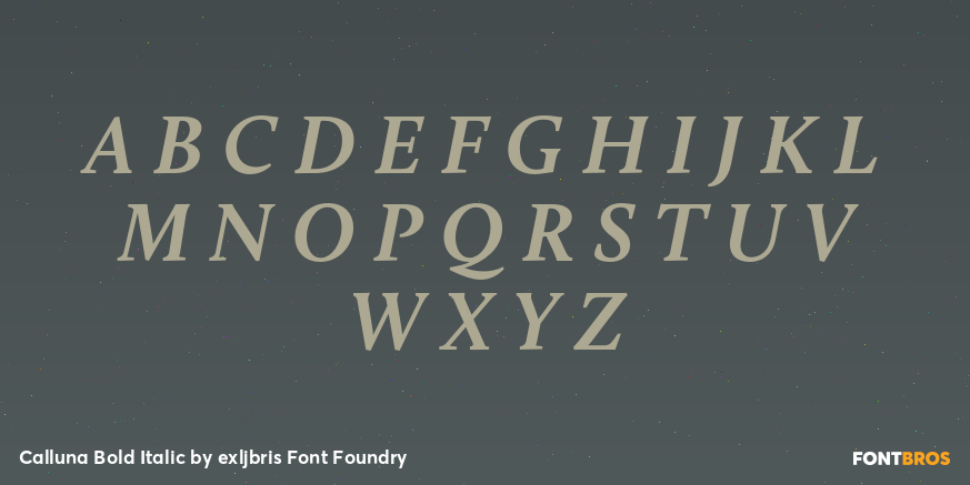 Calluna Bold Italic Font Poster #1