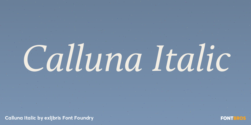 Calluna Italic Font Poster #1