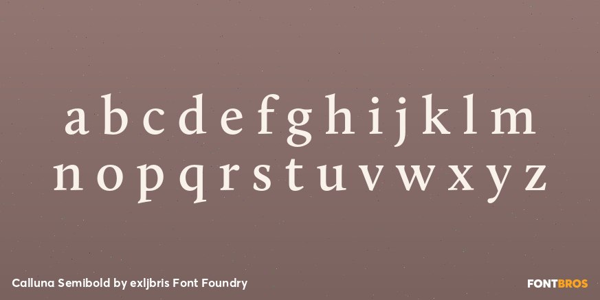 Calluna Semibold Font Poster #3