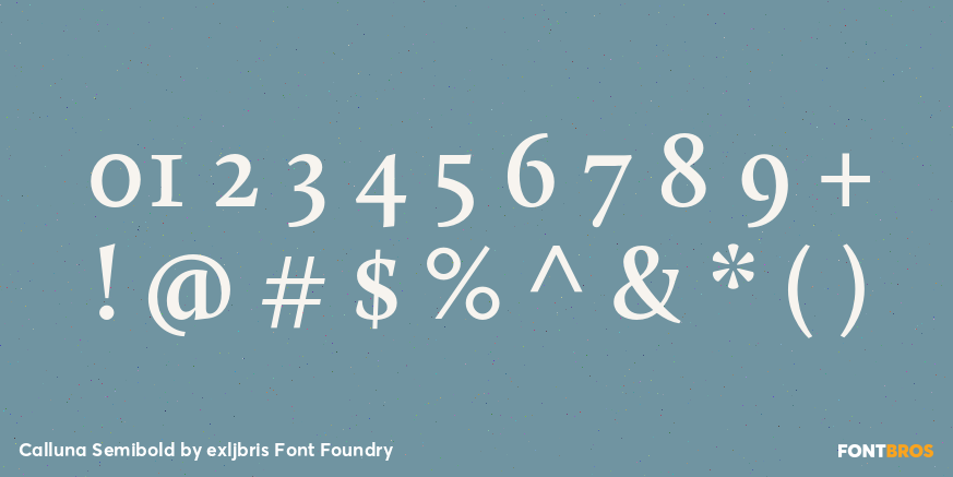 Calluna Semibold Font Poster #4