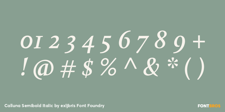 Calluna Semibold Italic Font Poster #4