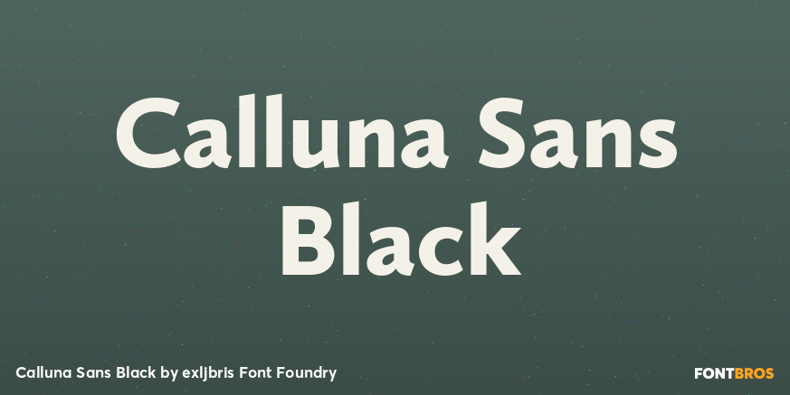 Calluna Sans Black Font Poster #1