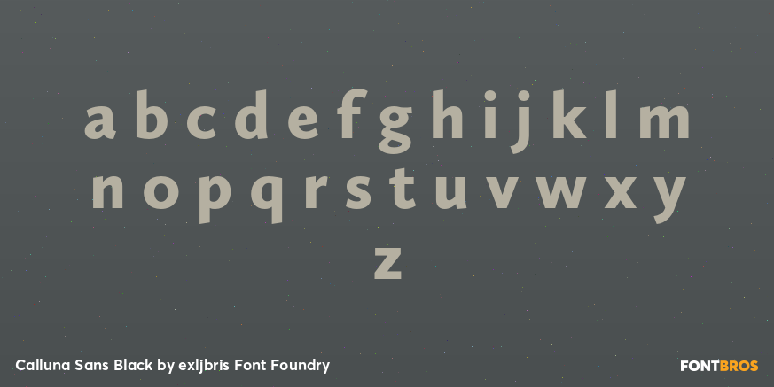 Calluna Sans Black Font Poster #3