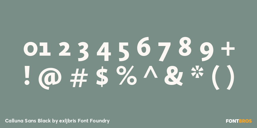 Calluna Sans Black Font Poster #4