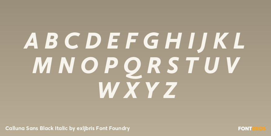 Calluna Sans Black Italic Font Poster #2