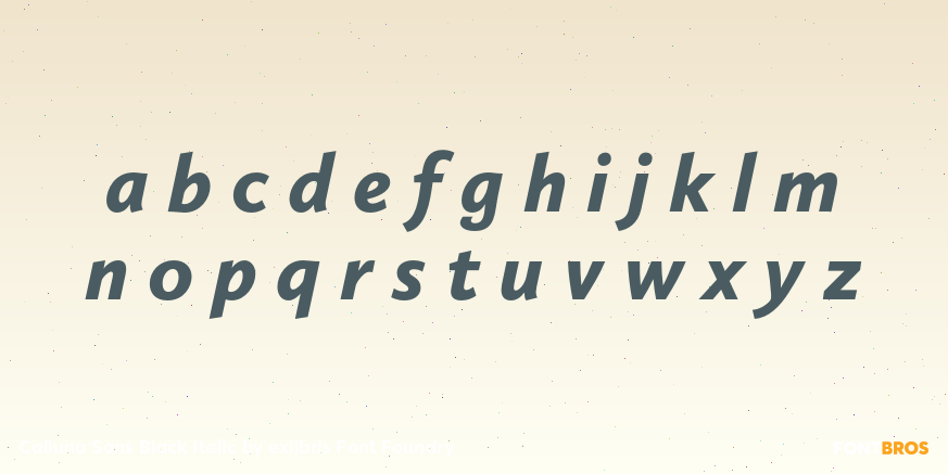 Calluna Sans Black Italic Font Poster #3