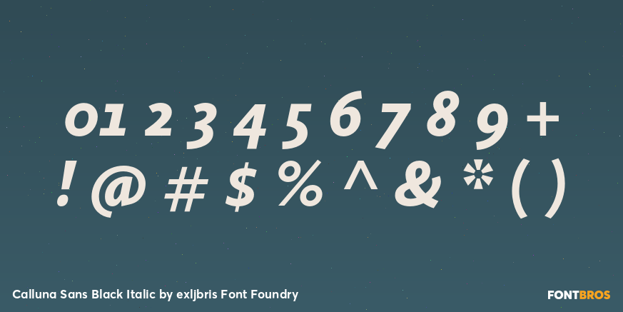 Calluna Sans Black Italic Font Poster #4