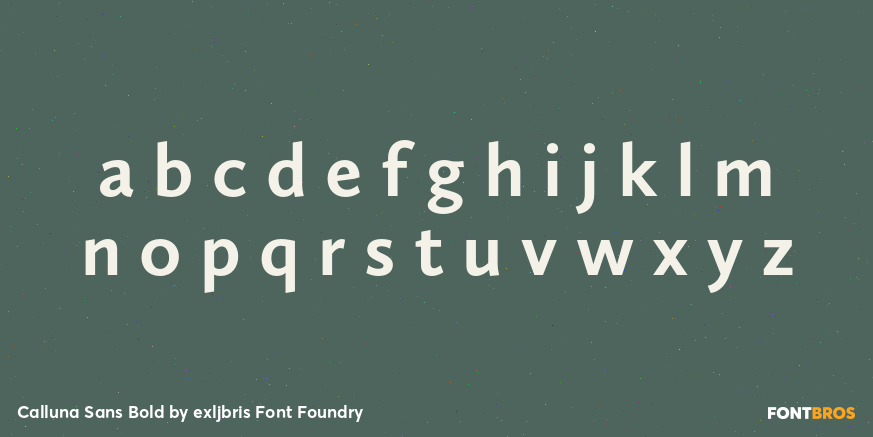 Calluna Sans Bold Font Poster #3