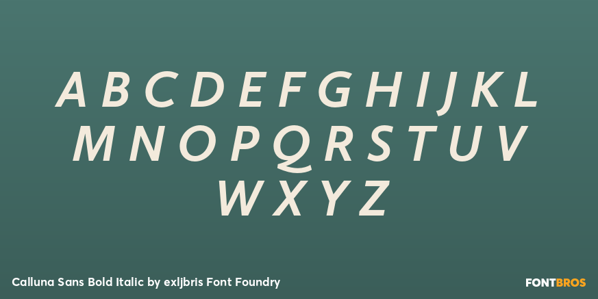 Calluna Sans Bold Italic Font Poster #2