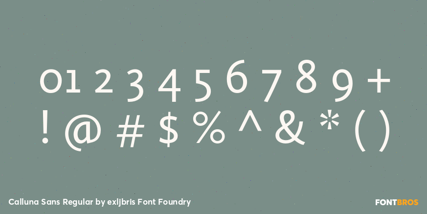 Calluna Sans Regular Font Poster #1