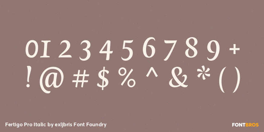 Fertigo Pro Italic Font Poster #1