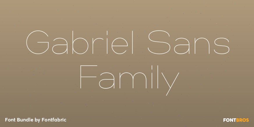 Gabriel Sans Family Font Poster #1