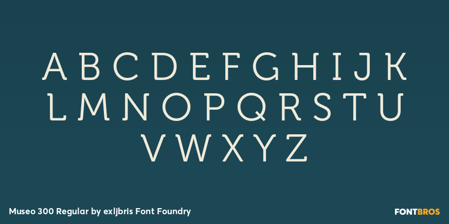 Museo 300 Regular Font Poster #1