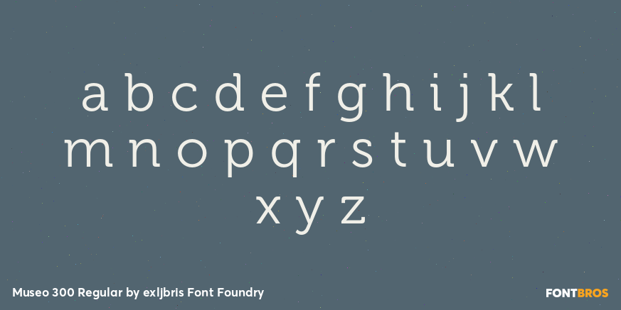 Museo 300 Regular Font Poster #1