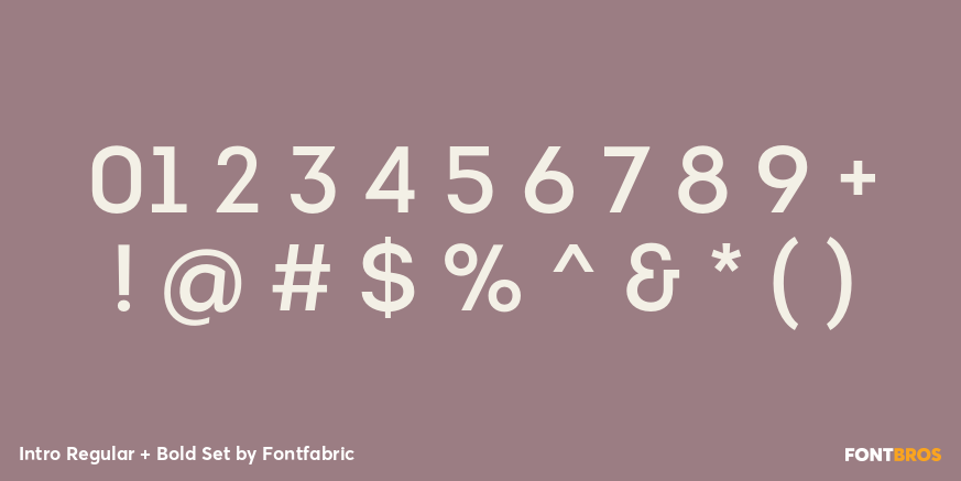 Intro Regular + Bold Set Font Poster #1