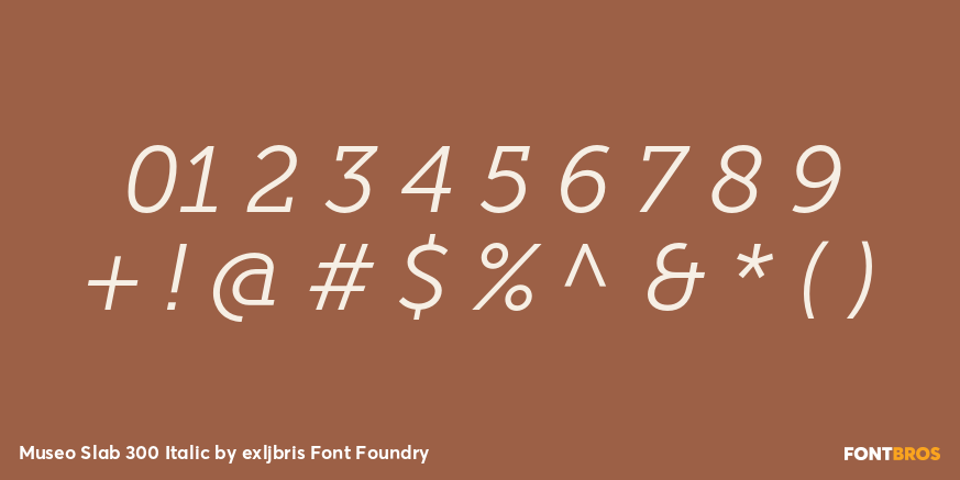 Museo Slab 300 Italic Font Poster #1