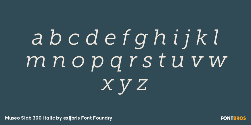 Museo Slab 300 Italic Font Poster #3