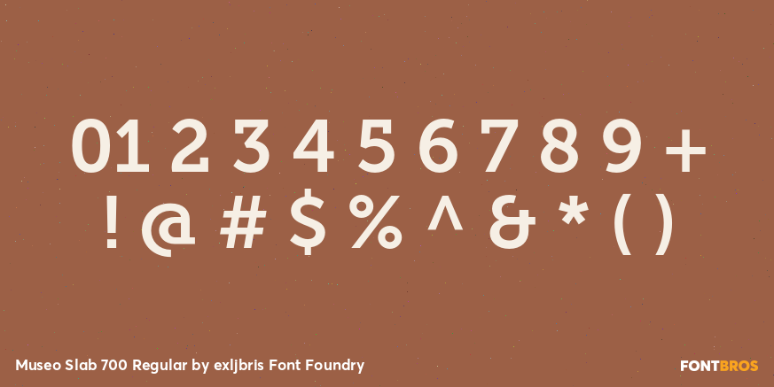 Museo Slab 700 Regular Font Poster #4