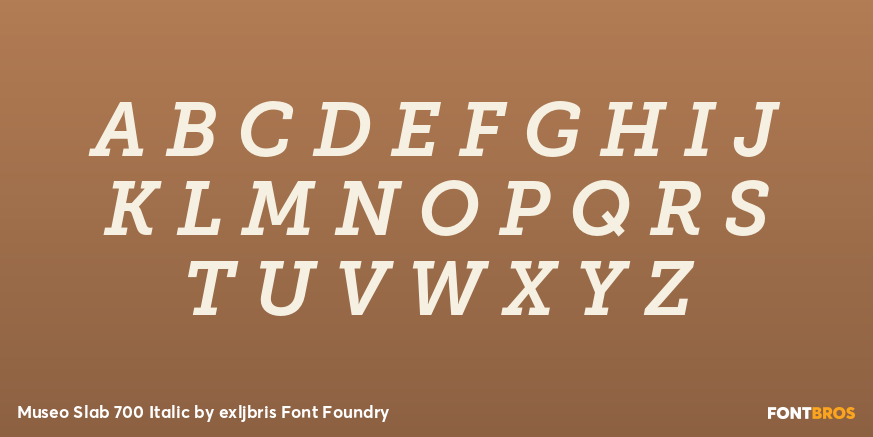 Museo Slab 700 Italic Font Poster #2