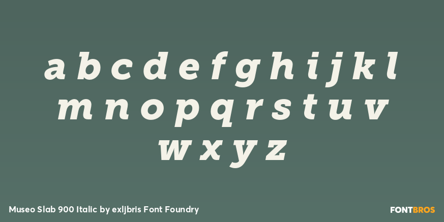 Museo Slab 900 Italic Font Poster #1