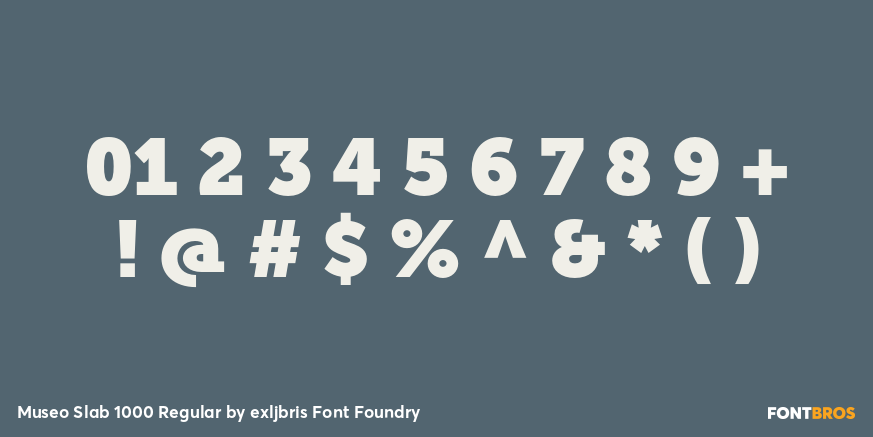 Museo Slab 1000 Regular Font Poster #4