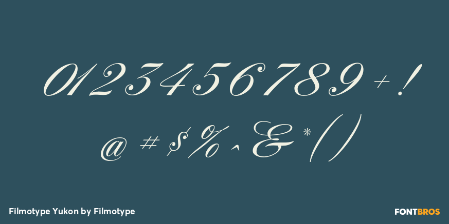 Filmotype Yukon Font Poster #4