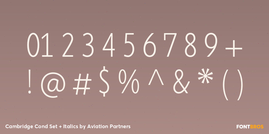 Cambridge Cond Set + Italics Font Poster #4