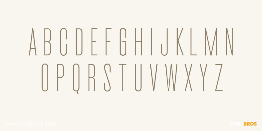 Cactus Light Font Poster #2