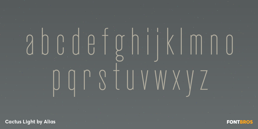 Cactus Light Font Poster #3