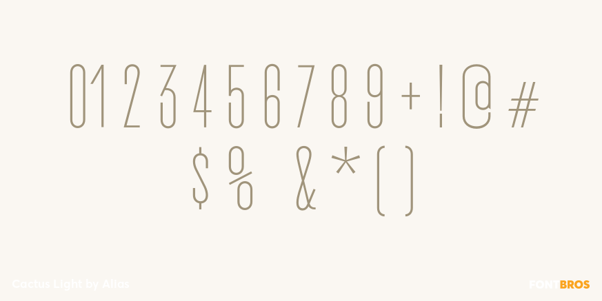 Cactus Light Font Poster #4
