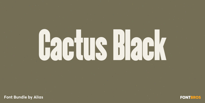 Cactus Black Poster