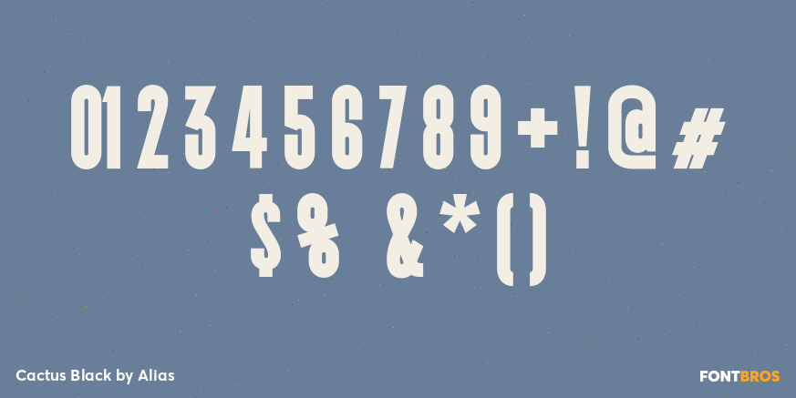 Cactus Black Font Poster #4