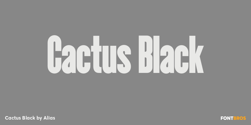Cactus Black Poster