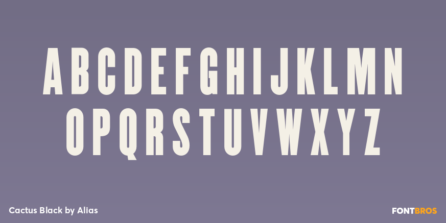 Cactus Black Font Poster #2