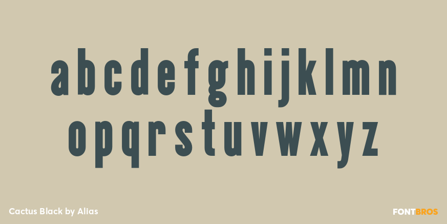 Cactus Black Font Poster #3