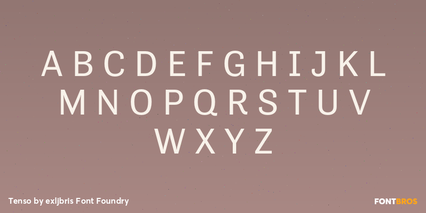 Tenso Font Poster #1