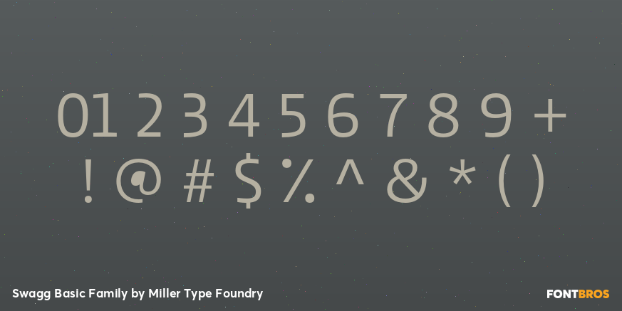 Swagg Basic Family Font Poster #1