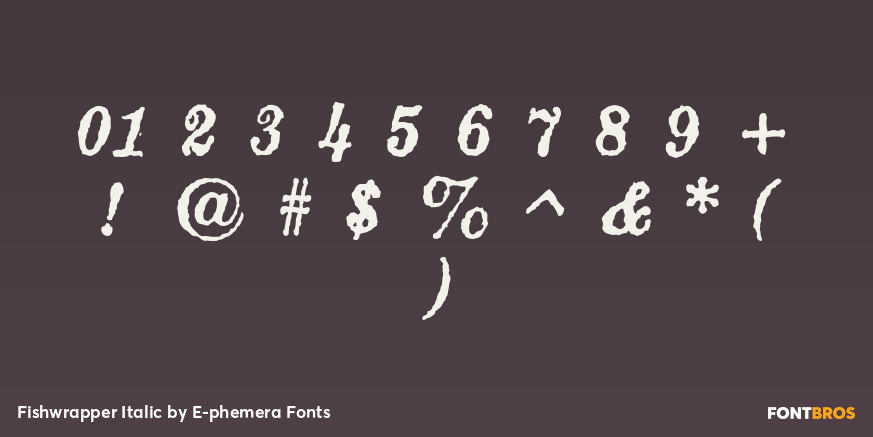 Fishwrapper Italic Font Poster #4