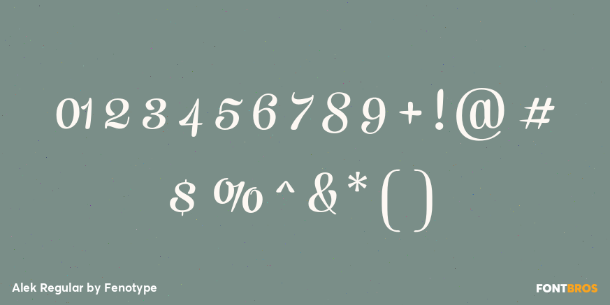 Alek Regular Font Poster #4
