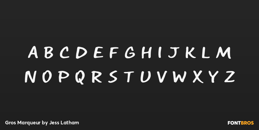 Gros Marqueur Font Poster #2