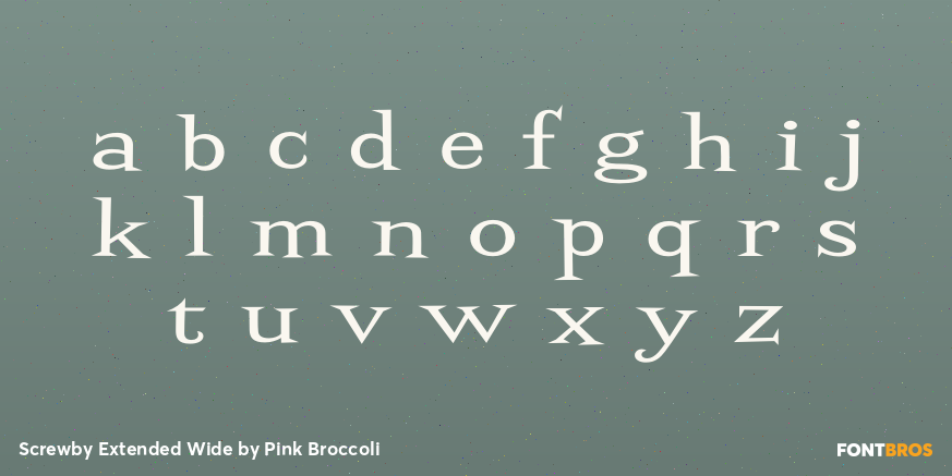 Screwby Extended Wide Font Poster #3