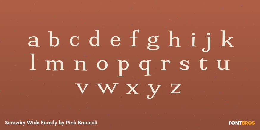 Screwby Wide Family Font Poster #3