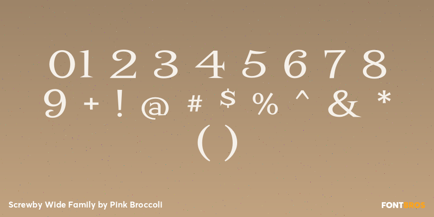 Screwby Wide Family Font Poster #4