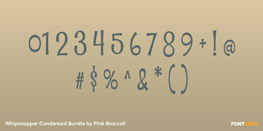 Whipsnapper Condensed Bundle Font Poster #4
