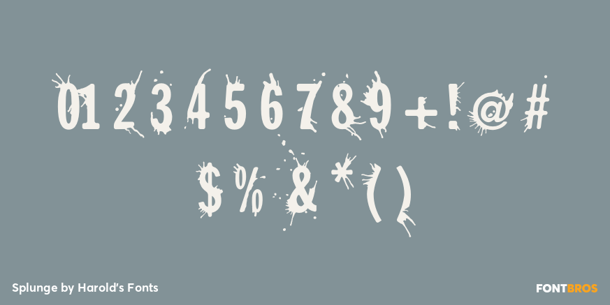 Splunge Font Poster #4